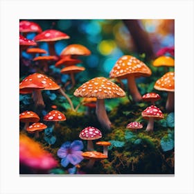 Colorful Mushrooms In The Forest Canvas Print