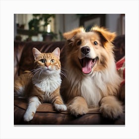 Cat And Dog Sitting On Couch Canvas Print