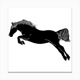 Horse Jumping Canvas Print