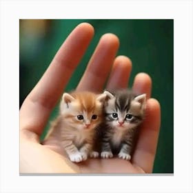 Tiny Kittens In A Person'S Hand Canvas Print