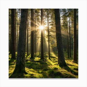 The Sun Shines Through The Trees Canvas Print