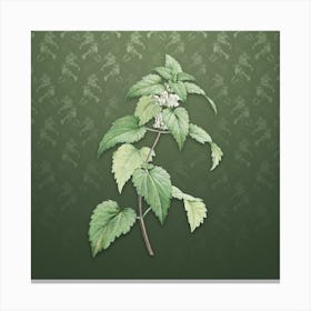 Vintage White Dead Nettle Plant Botanical on Lunar Green Pattern Canvas Print