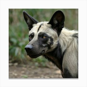 Hybrid wolf gorilla with large ears of an African Wild Dog a hairless appearance like Mexican hairless dog 3 Canvas Print