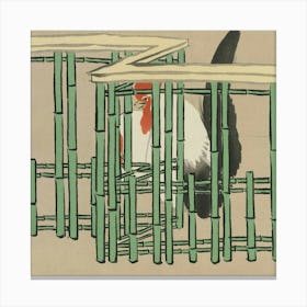 Rooster In Bamboo Cage Canvas Print