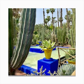 Cactus Garden Canvas Print