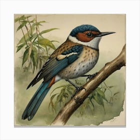 Blue-Tailed Kingfisher Canvas Print