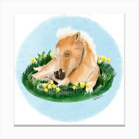 Ponny/Poney Canvas Print