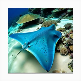 Stingray 2 Canvas Print