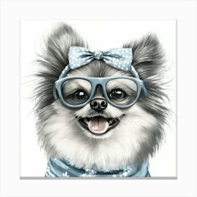 Pomeranian 7 Canvas Print