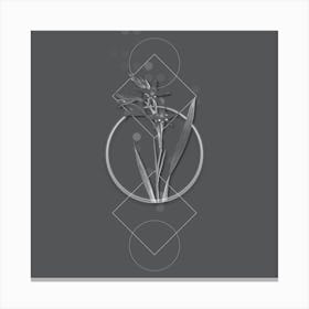 Vintage Gladiolus Cuspidatus Botanical with Line Motif and Dot Pattern in Ghost Gray n.0270 Canvas Print