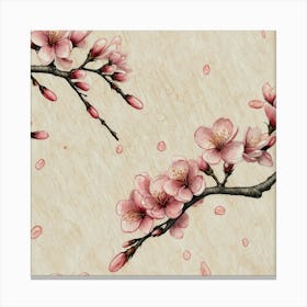 Asian Cherry Blossoms Canvas Print