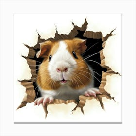 Guinea Pig 4 Canvas Print