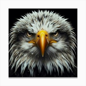 Bald Eagle 7 Canvas Print