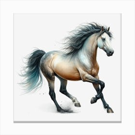 Horse Galloping 3 Canvas Print