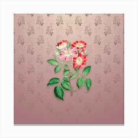Vintage Rose Clare Flower Botanical on Dusty Pink Pattern n.1885 Canvas Print
