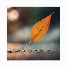 Autumn Leaf 8 Canvas Print