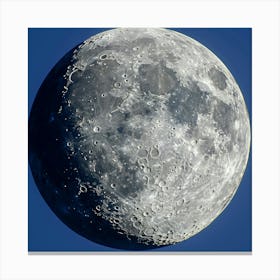 Full Moon 1 Canvas Print