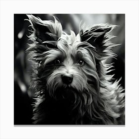Black And White Dog Portrait 5 Canvas Print