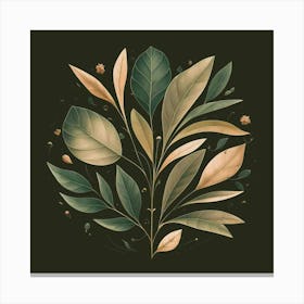 Botanical Illustration 2 Canvas Print