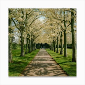 Keukenhof Gardens Netherlands Vintage Botanical 11 Canvas Print