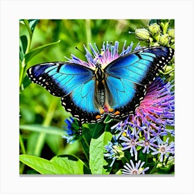 Butterflies Insect Lepidoptera Wings Antenna Colorful Flutter Nectar Pollen Metamorphosis (21) Canvas Print