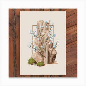 Spruce Tree Canvas Print