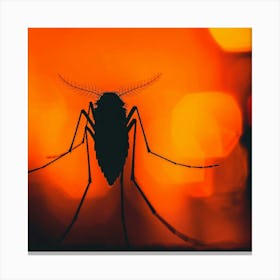 Mosquito At Night Canvas Print