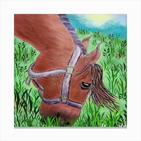 Horse In The Grass Canvas Print