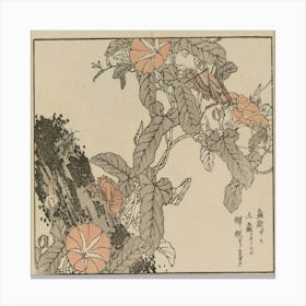 Wakame San Canvas Print