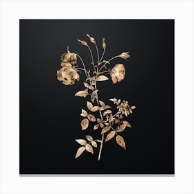Gold Botanical Red Rose on Wrought Iron Black Canvas Print