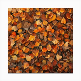 Autumn Leaves 46 Canvas Print