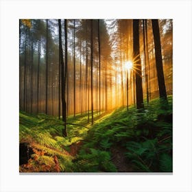 Sunrise In The Forest 9 Canvas Print