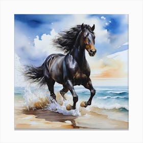 Black Horse On The Beach Canvas Print