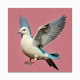 Dove In Flight Canvas Print