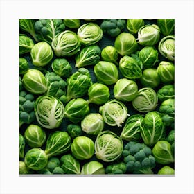 Brussels Sprouts 16 Canvas Print