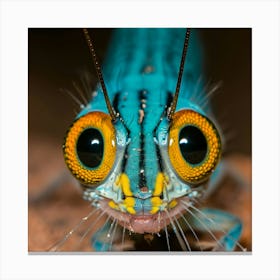 Blue Dragonfly Canvas Print