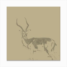 Antilope figure Canvas Print