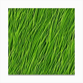 Grass Background 37 Canvas Print