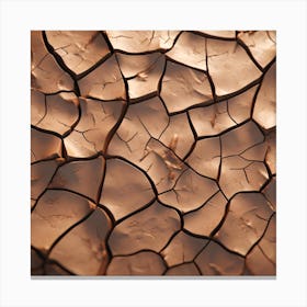 Cracked Earth Canvas Print