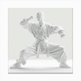 Karate 1 Canvas Print