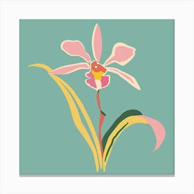 Monkey Orchid 3 Square Flower Illustration Canvas Print