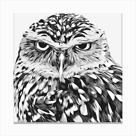 Owl 7847463 1280 Canvas Print