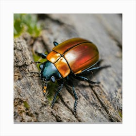 Beetle On Wood 3 Canvas Print