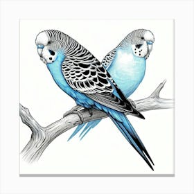 Line Art budgerigar 3 Canvas Print