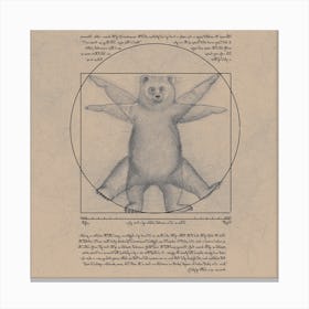 Vitruvian Bear Canvas Print