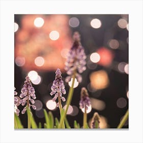 Bokeh Canvas Print