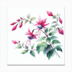 Flowers of Fuchsia 3 Canvas Print