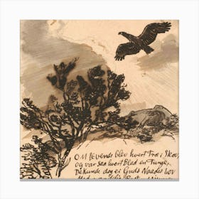 Eagle In Flight Canvas Print