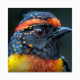 Rizwanakhan Photo Of Close Up Of Colorful Beautiful Bird Niko E692c56c A874 42b6 B259 147836871274 0 Canvas Print
