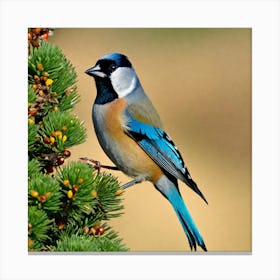 Blue Tit 68 Canvas Print